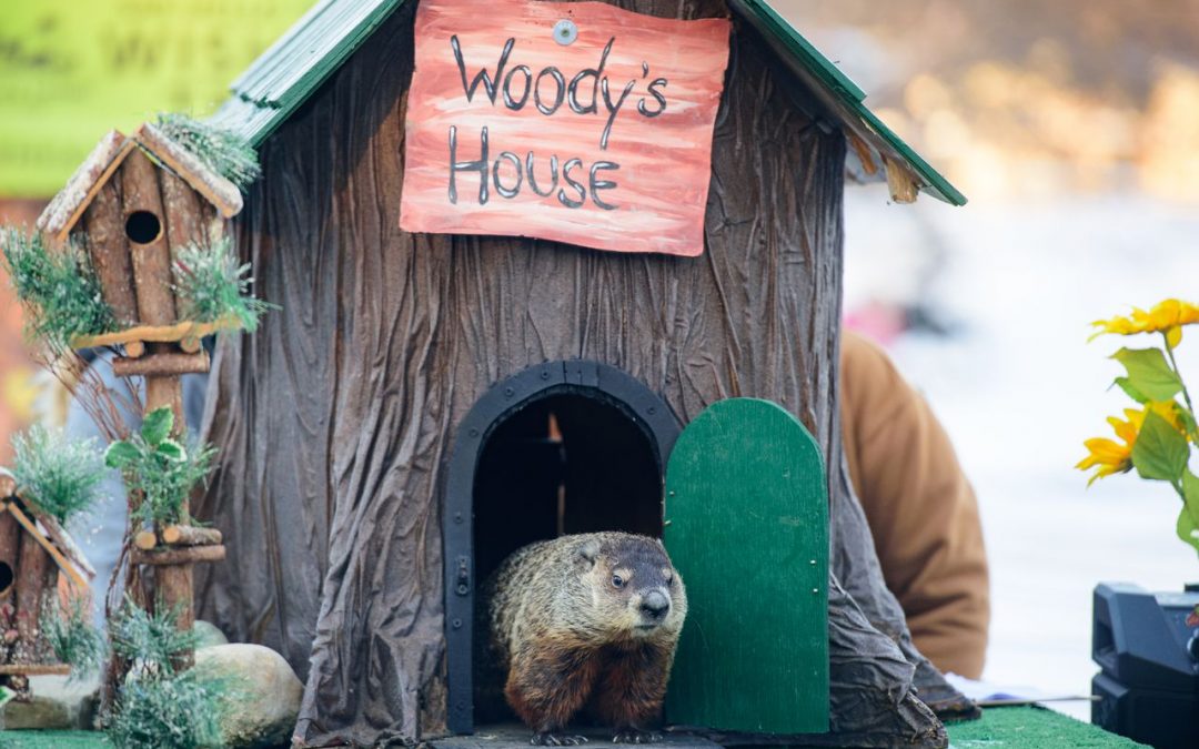 Sick of Winter? You’re in Luck. Woody, Michigan’s Official Groundhog, Says Spring Will Come Early